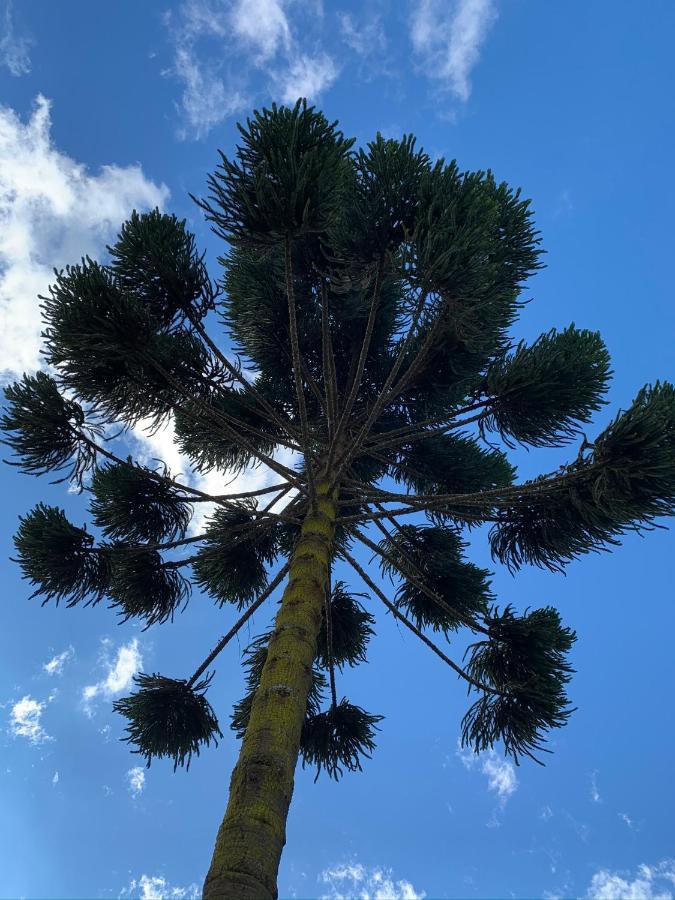 Campos do Jordão Paz Na Montanha酒店 外观 照片