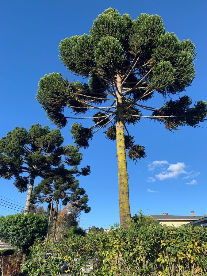 Campos do Jordão Paz Na Montanha酒店 外观 照片